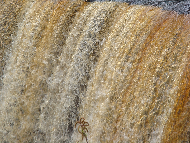 295 Memorial Day [2008 May 23].JPG - Scenes from Tahquanemon Falls in the Michigan Upper Peninsula.